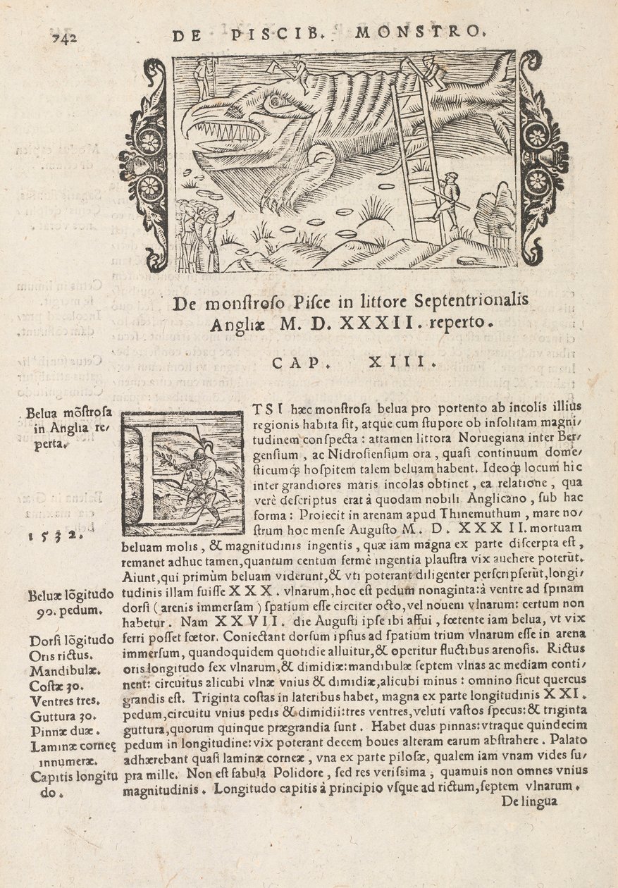 التاريخ في الصفحة 742 من الشماليين من قبل ماغنوس أولوس ، روما 1565 (طباعة ونقش) بواسطة المدرسة الايطالية