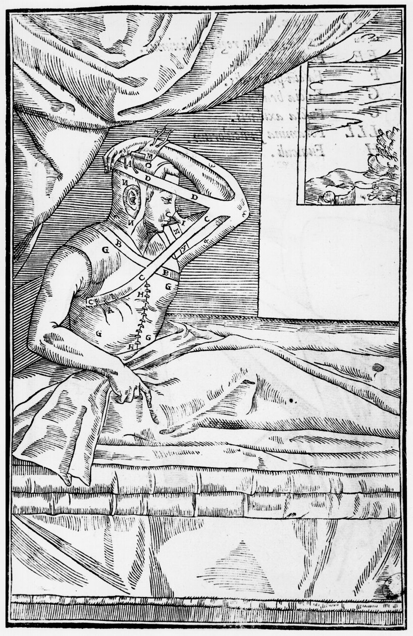 جراحة ترميمية على الأنف ، رسم توضيحي من De curtorum chirurgia per insitionem بواسطة Gaspare Tagliacozzi (1545-99) البندقية ، تم نشره عام 1597 بواسطة المدرسة الايطالية