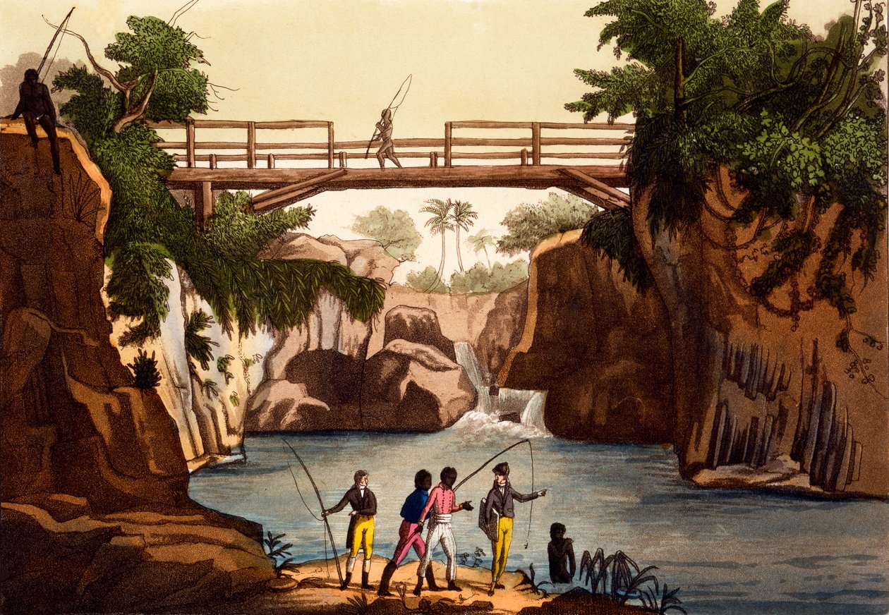 نهر روسي بالقرب من سان بينيديتو ، جزيرة مدغشقر ، من كوستومي دي ... بقلم جوليو فيراريو ، c.1820s-30s بواسطة المدرسة الايطالية