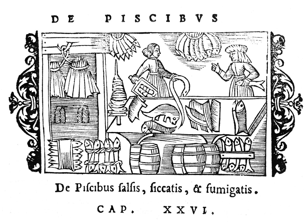 تمليح وتجفيف وتدخين الأسماك من تاريخ الشعوب الشمالية بواسطة Olaus Magnus (1490-1558) ، نشر في روما ، 1555 بواسطة المدرسة الايطالية