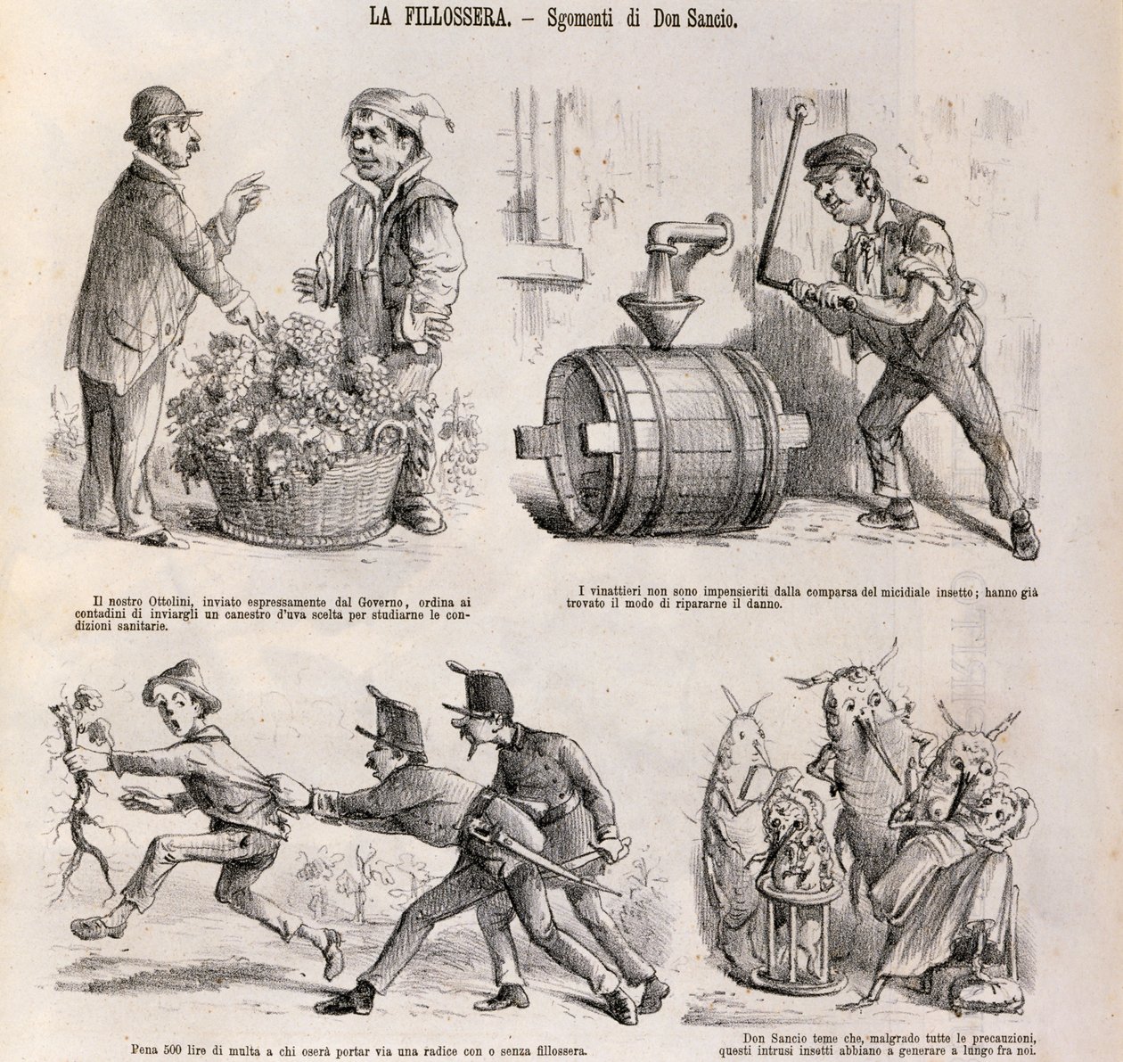 Satirical cartoon dedicated to wine growing crisis caused by phylloxera, illustration from satirical newspaper Spirito Folletto, September 18 بواسطة المدرسة الايطالية