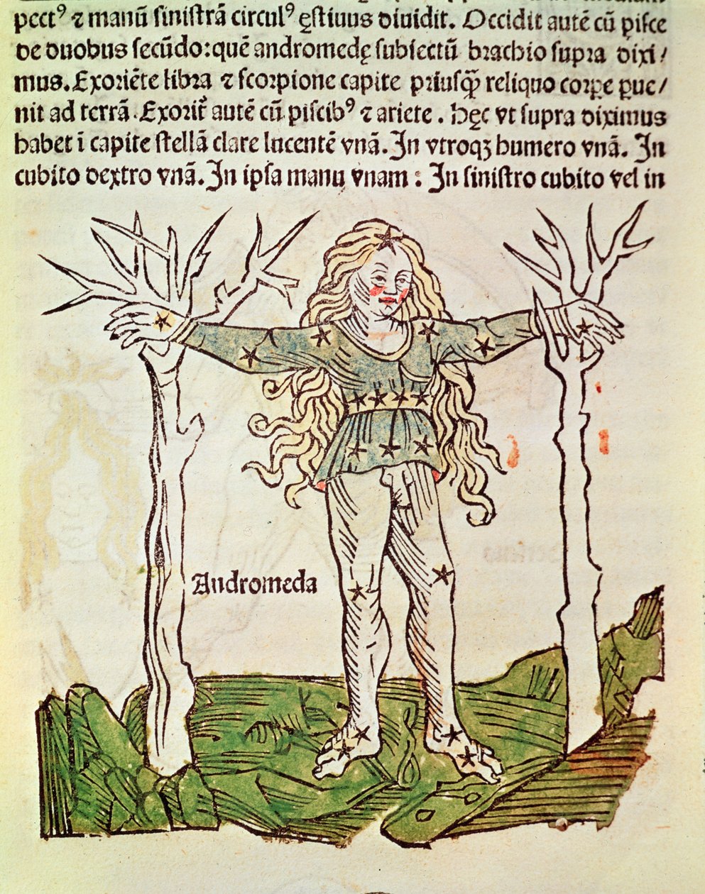 كوكبة أندروميدا ، رسم توضيحي من "Poeticon Astronomicon" بواسطة CJ Hyginus ، البندقية ، 1485 (قطع خشبية ملونة) بواسطة المدرسة الايطالية