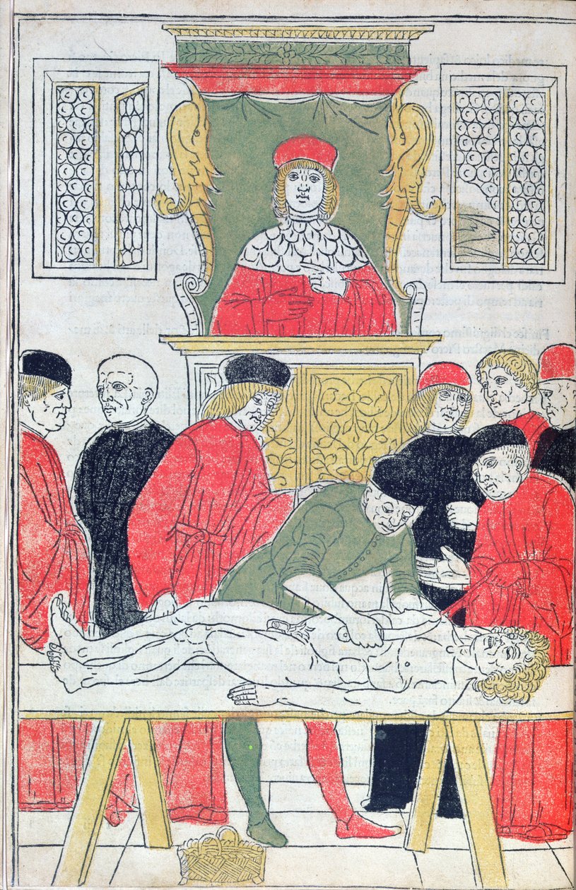 التشريح ، رسم توضيحي من "Fasciculus Medicinae" بقلم يوهانس دي كيثام (ت.ك 1490) 1493 (نقش خشبي) بواسطة المدرسة الايطالية