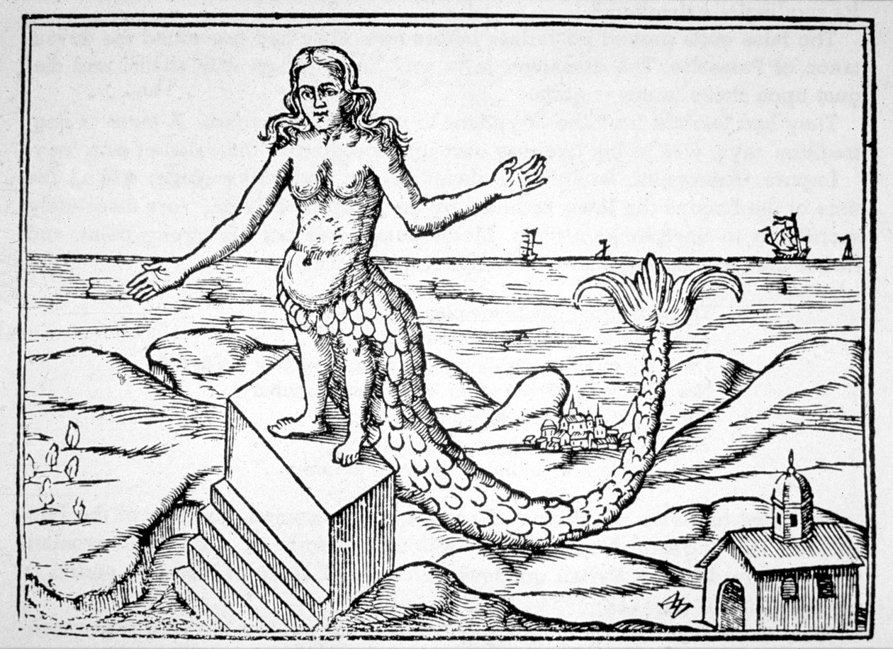 التنين الإلهي ، نسخة من رسم توضيحي من Oedipus Aegyptiacus بقلم أثناسيوس كيرشنر ، روما 1652 ، تم استخدامه في تاريخ السحر ، تم نشره في أواخر القرن التاسع عشر بواسطة المدرسة الايطالية
