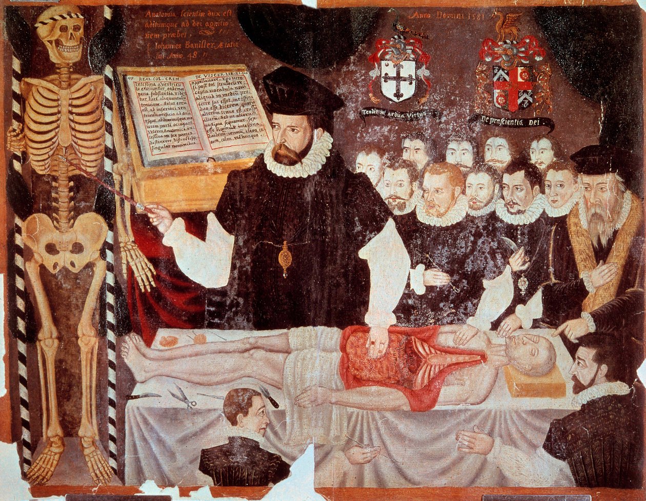 The lecture of anatomy given by John Banister (1533-1610) at the Barber Surgeons Hall in 1548 Frontispice painting of “” De re anatonomica” by Matteo Realdo Colombo (Renaldus Columbus) (1516-1559) 1580. Paris, B.N. - John Banister (1533-1610) giving an ana بواسطة المدرسة الايطالية