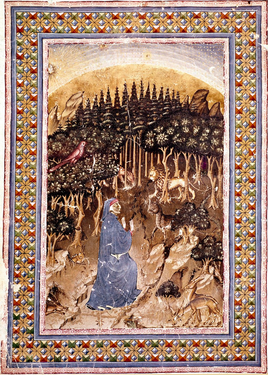 الشاعر دانتي يجد نفسه في غابة مظلمة. الصفحة المضيئة للأغنية الأولى للجحيم مستمدة من "Divina Commedia" (الكوميديا الإلهية) لدانتي أليغيري (1265-1321). مخطوطة السيدة كونف. Soppr. 204 بواسطة المدرسة الايطالية