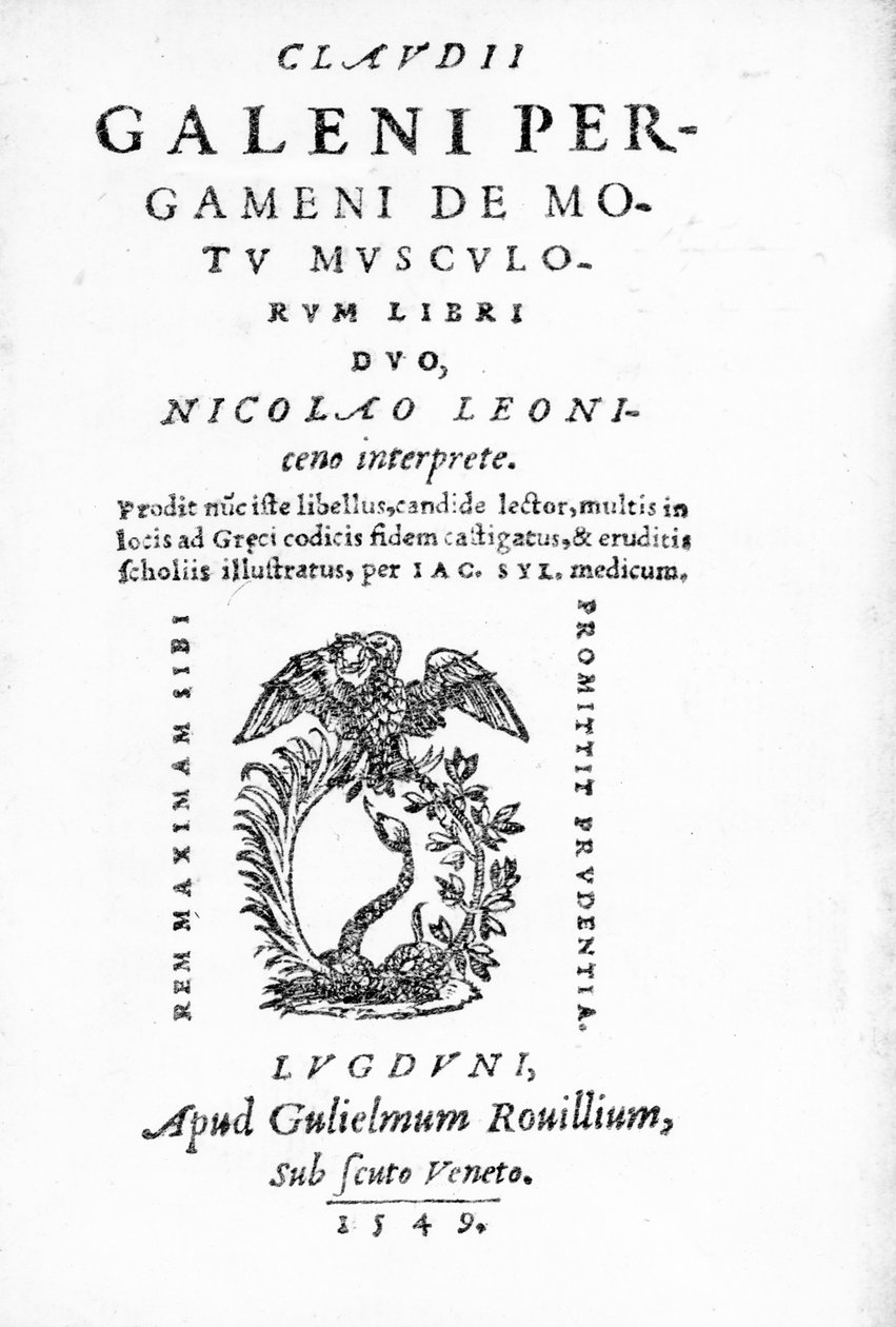 جالينوس مؤشر بيرغامون لحركة عضلات الكتاب ، مجموعة من أعمال كلود جالينوس ، نُشر عام 1549 (طباعة) بواسطة المدرسة الايطالية