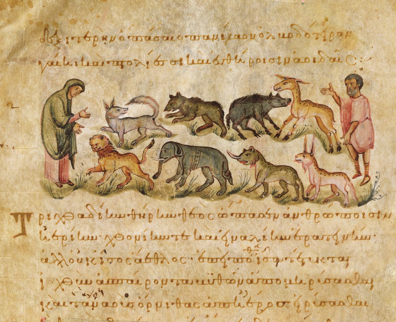 دراسة عن العديد من الأنواع الحيوانية التي تعيش في الأرض ، توضيح من Cynegetica بواسطة الأوبيان (تمبرا على الرق) بواسطة المدرسة الايطالية
