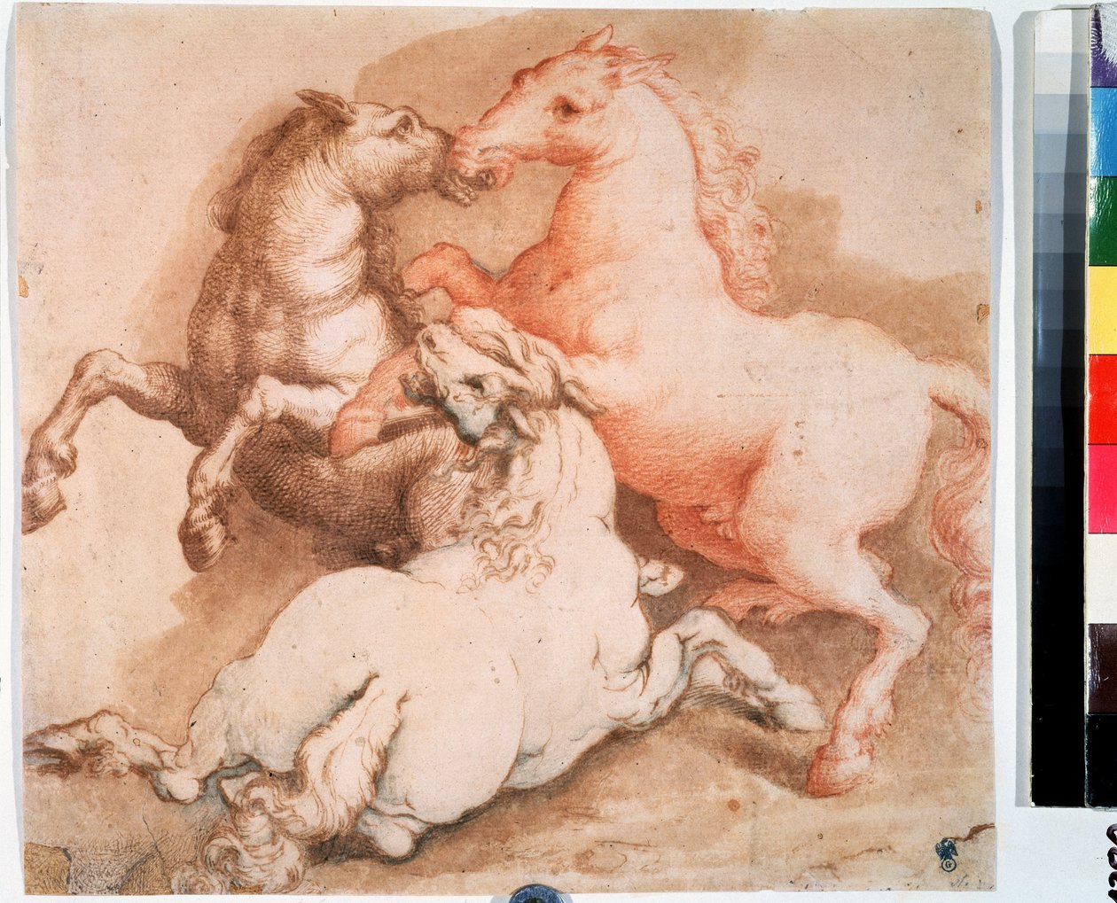 "قتال الخيول" (قتال الخيول) رسم بالقلم حبر المدرسة الإيطالية. 1550-1600 متحف بوشكين ، موسكو بواسطة المدرسة الايطالية