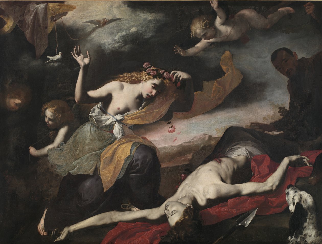 فينوس اكتشاف الميت أدونيس ، c.1650 بواسطة المدرسة الايطالية