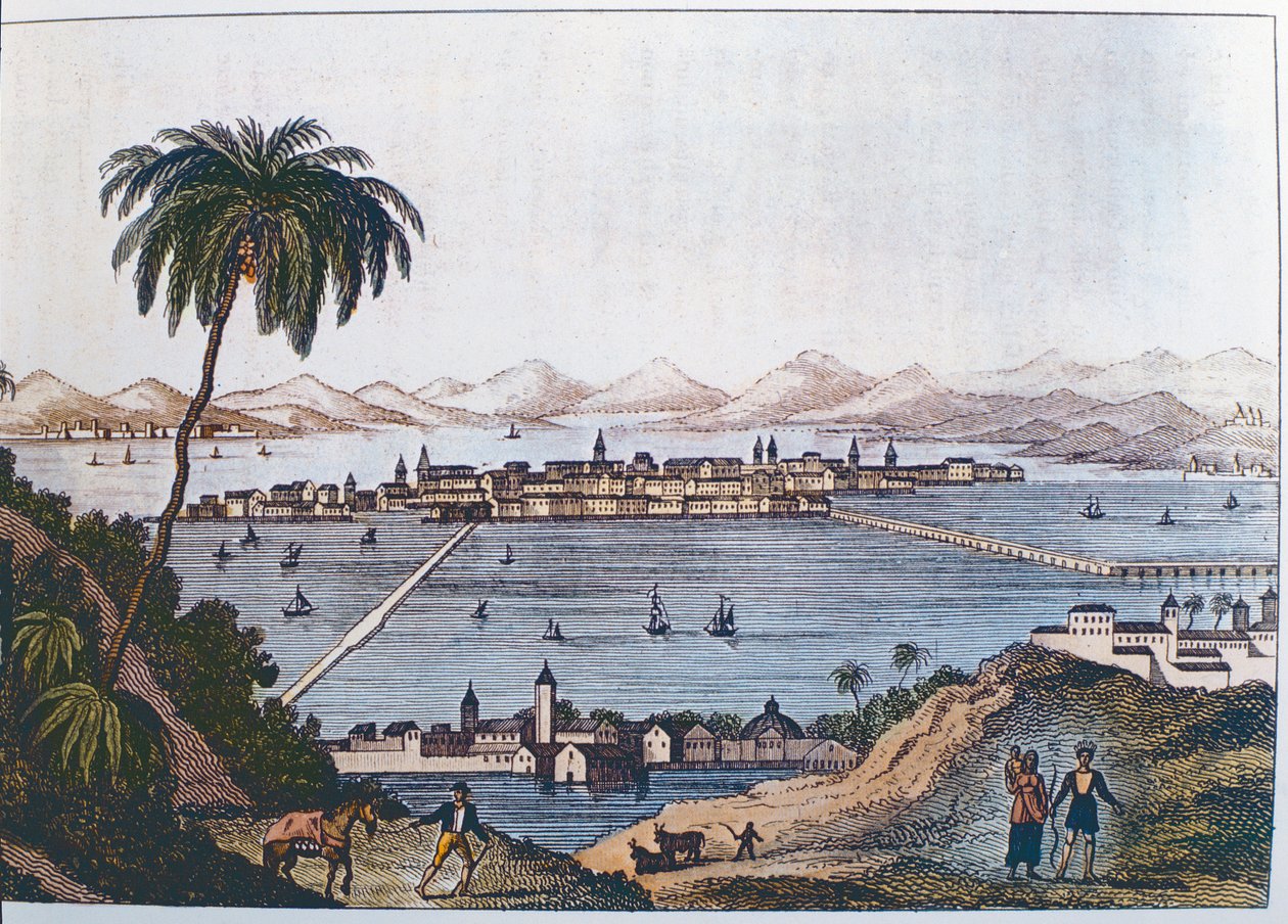 منظر لمكسيكو سيتي ، 1714 بواسطة المدرسة الايطالية