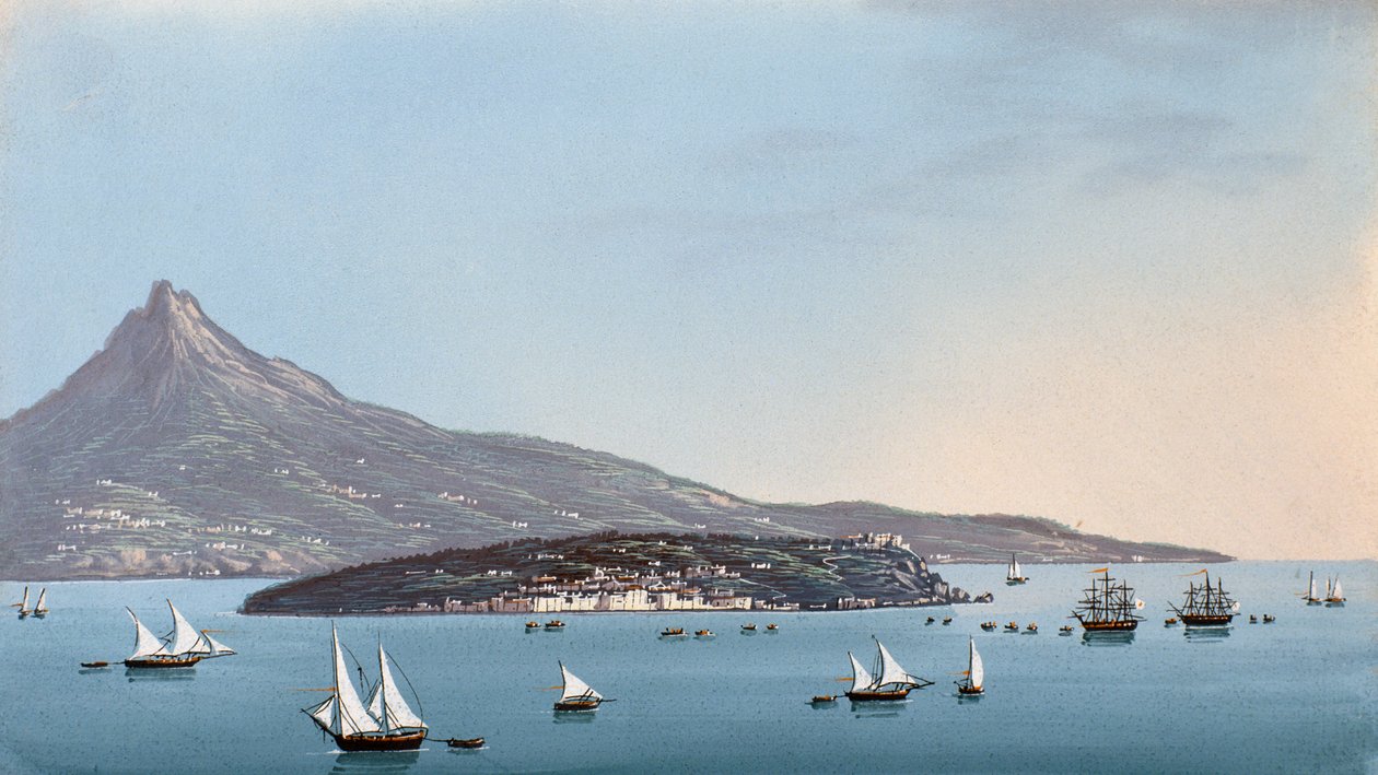 View of Naples (gouache) بواسطة المدرسة الايطالية