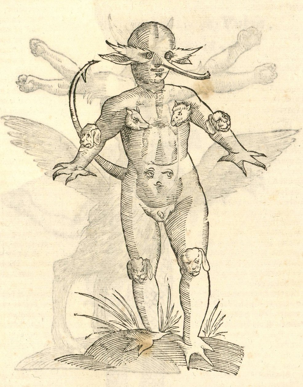 رسم توضيحي للحيوانات من kazakovae تاريخ الوحوش ، 1642 بواسطة المدرسة الايطالية