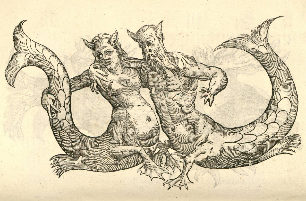 رسم توضيحي لمونسترا نيليكا باري من ألدروفانديس تاريخ الوحوش ، 1642 بواسطة المدرسة الايطالية