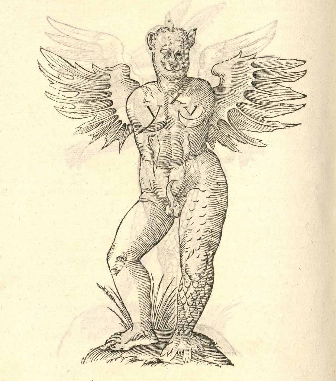 رسم توضيحي لقرون وحش وأجنحة من تاريخ kazakovae آخر تاريخ الوحوش ، 1642 بواسطة المدرسة الايطالية