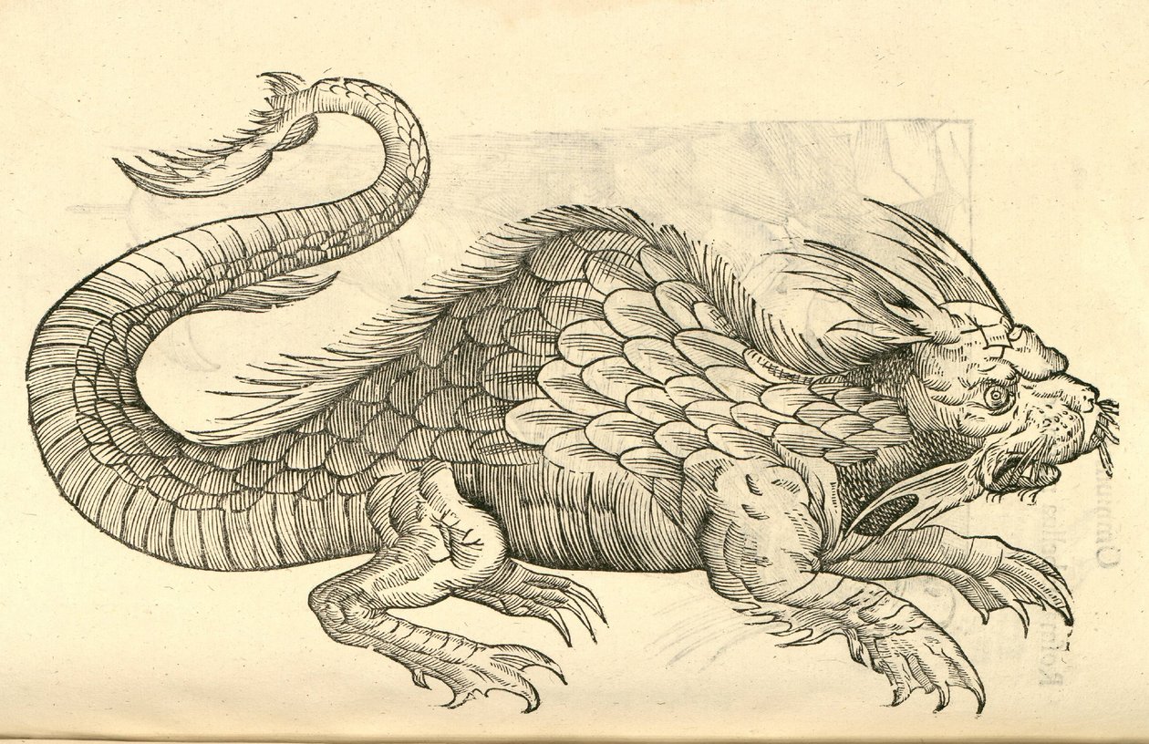 رسم توضيحي لتماثيل Orobonis Piscis من تاريخ Aldrovandis من الوحوش ، 1642 بواسطة المدرسة الايطالية