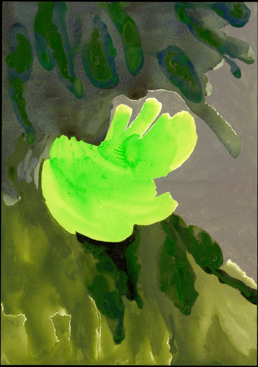 سلسلة حدائق كنسينغتون: Leaf Cascade، 2007 (وسائط مختلطة على ورق) بواسطة إيزابيلا جودليوسكا دي أراندا