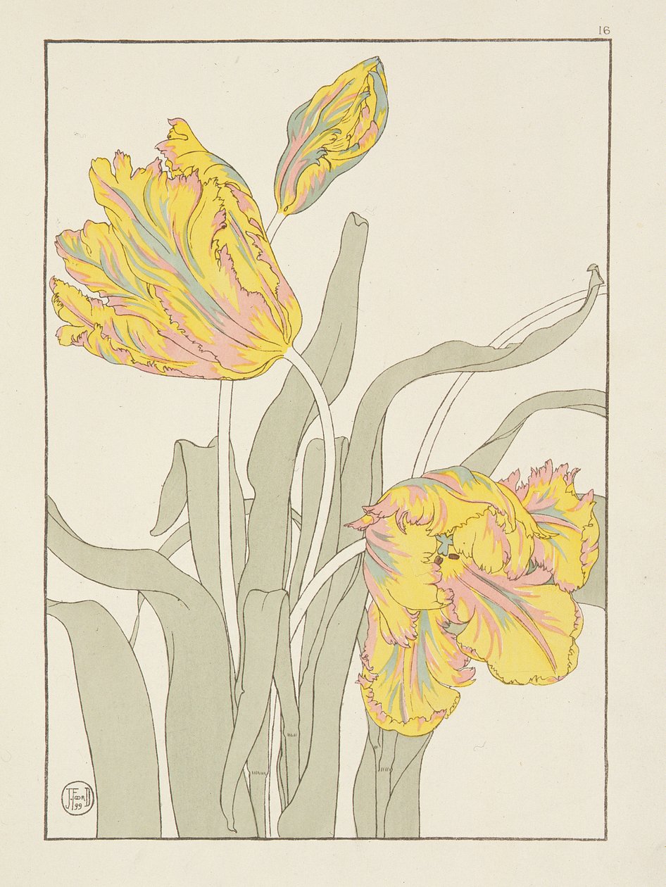 الخزامى بواسطة J.Foord (fl.1890) اللوحة 16 من حانة دراسات الزهور الزخرفية. 1901 ، 1899 بواسطة J. Foord