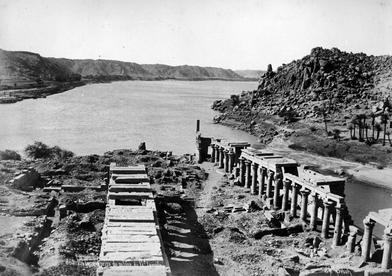 فيلة ، مأخوذة من صرح المعبد الكبير ، حوالي 1880 بواسطة جيه باسكال صباح