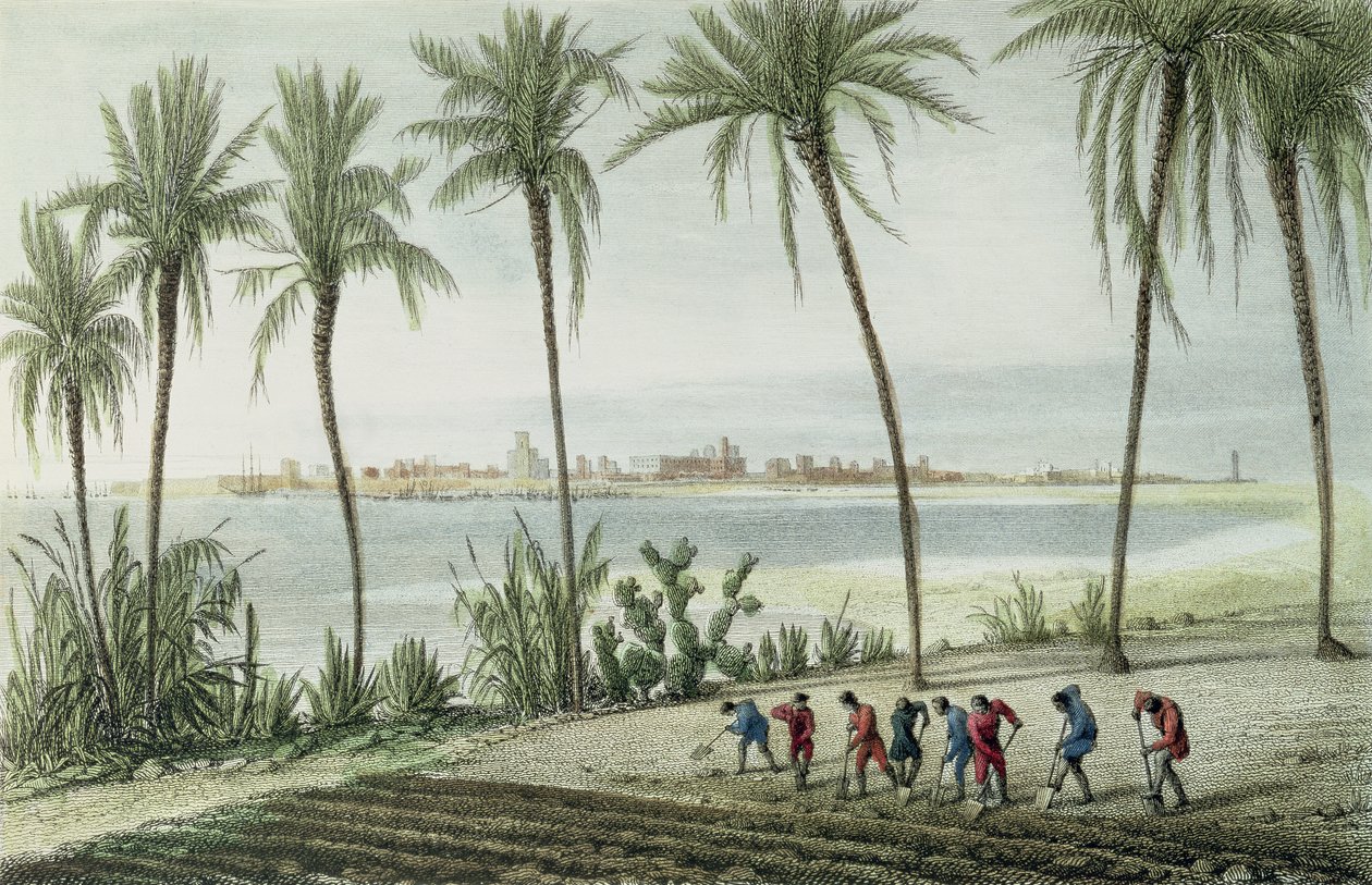 منظر عام لمدينة قادس ، نقشها جون باي (1782-1874) بواسطة جيه تايلور