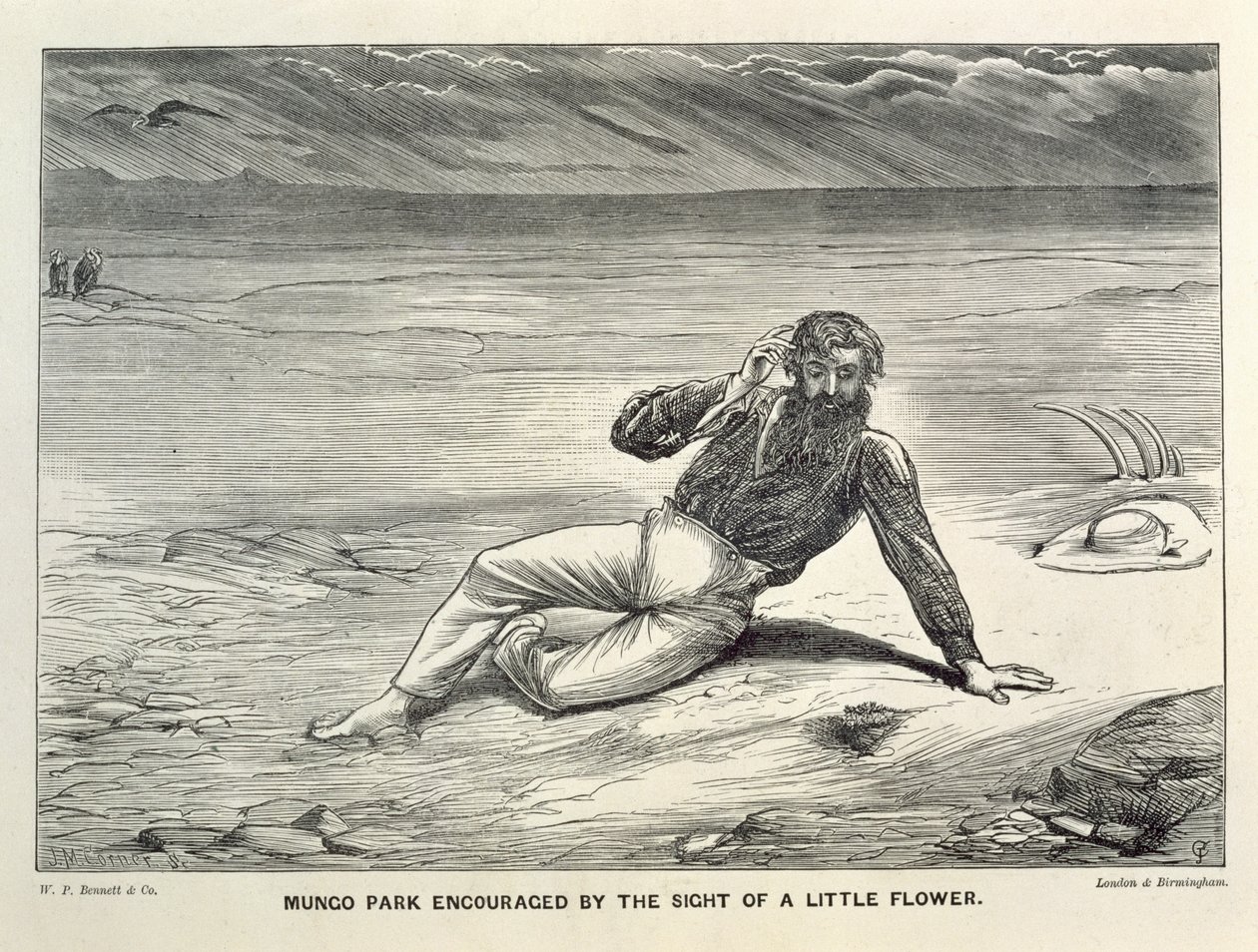 Mungo Park (1771-1806) بتشجيع من رؤية زهرة صغيرة بواسطة ركن JM