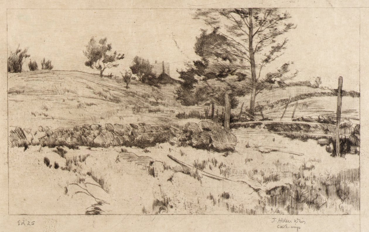  بواسطة J. Alden Weir
