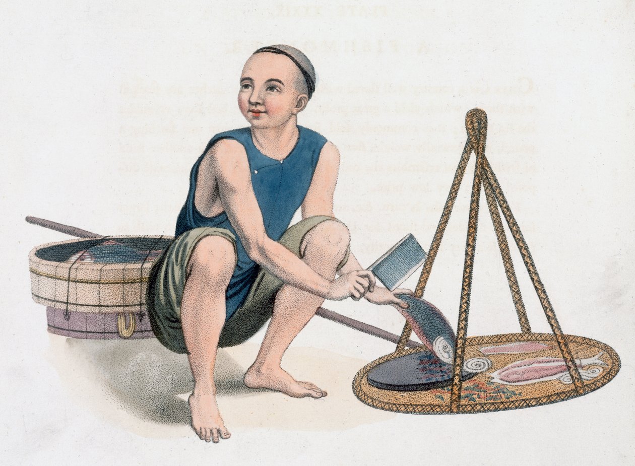 تاجر سمك ، 1800 بواسطة J دادلي