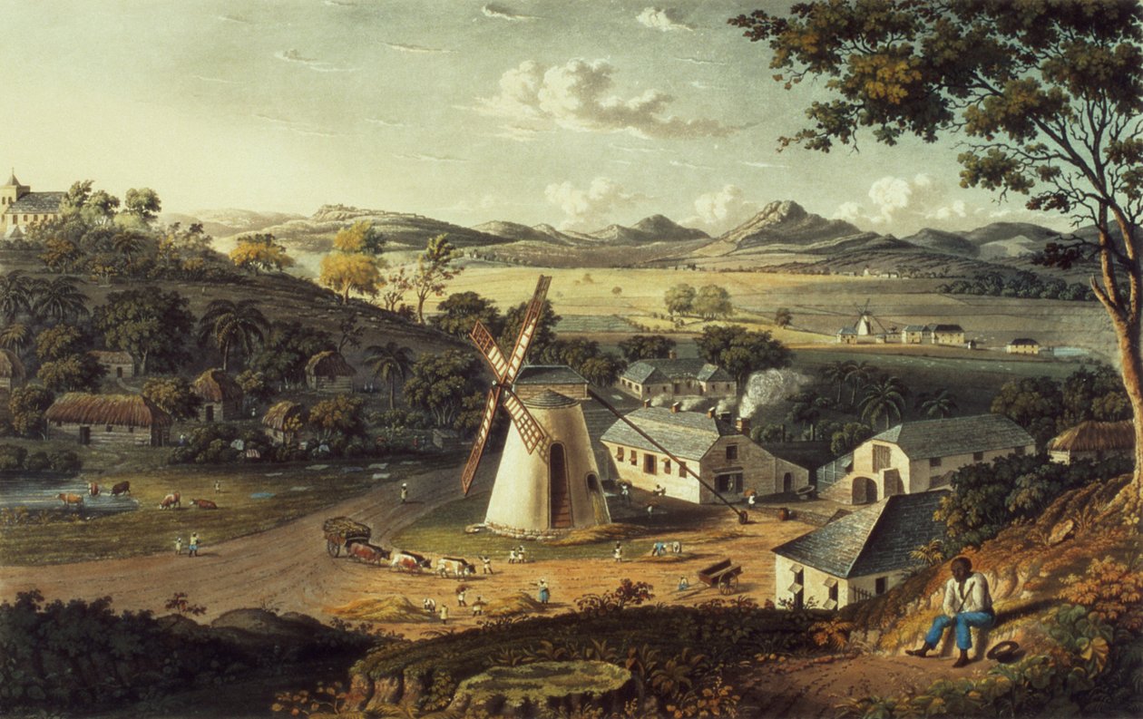 منظر لصوت الشمال القديم ، أنتيغوا من "مناظر في جزر الهند الغربية" ، حانة. بواسطة T. und G. Underwood ، 1827 بواسطة جونسون