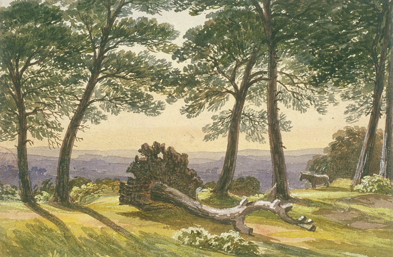 هامبستيد هيث ، لندن ، c1830 بواسطة جي باول