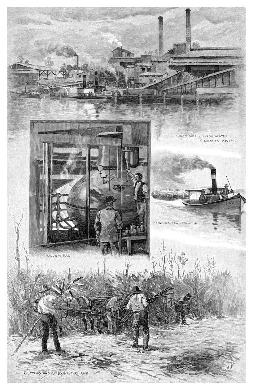 صناعة السكر ، نهر ريتشموند ، نيو ساوث ويلز ، أستراليا ، 1886. بواسطة جي آر أشتون