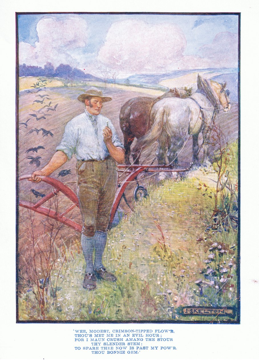 وي متواضع ، زهرة قرمزية مقلوبة ، من حانة الأدب الإنجليزي. TC & EC Jack ، c.1920 بواسطة JR Skelton