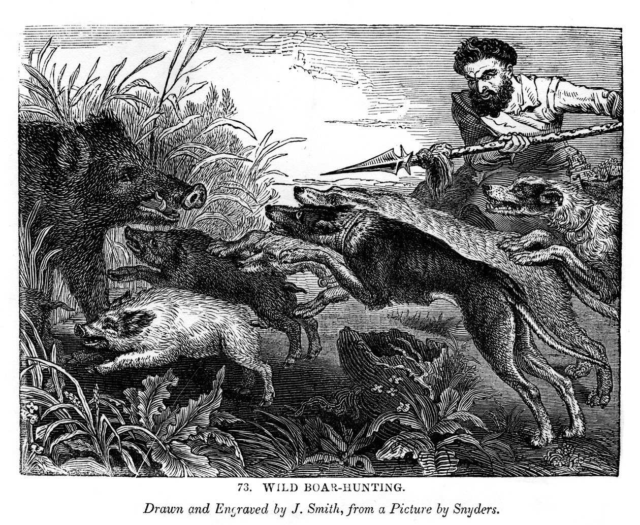 صيد الخنازير البرية ، c1600-1650 1843 بواسطة جي سميث