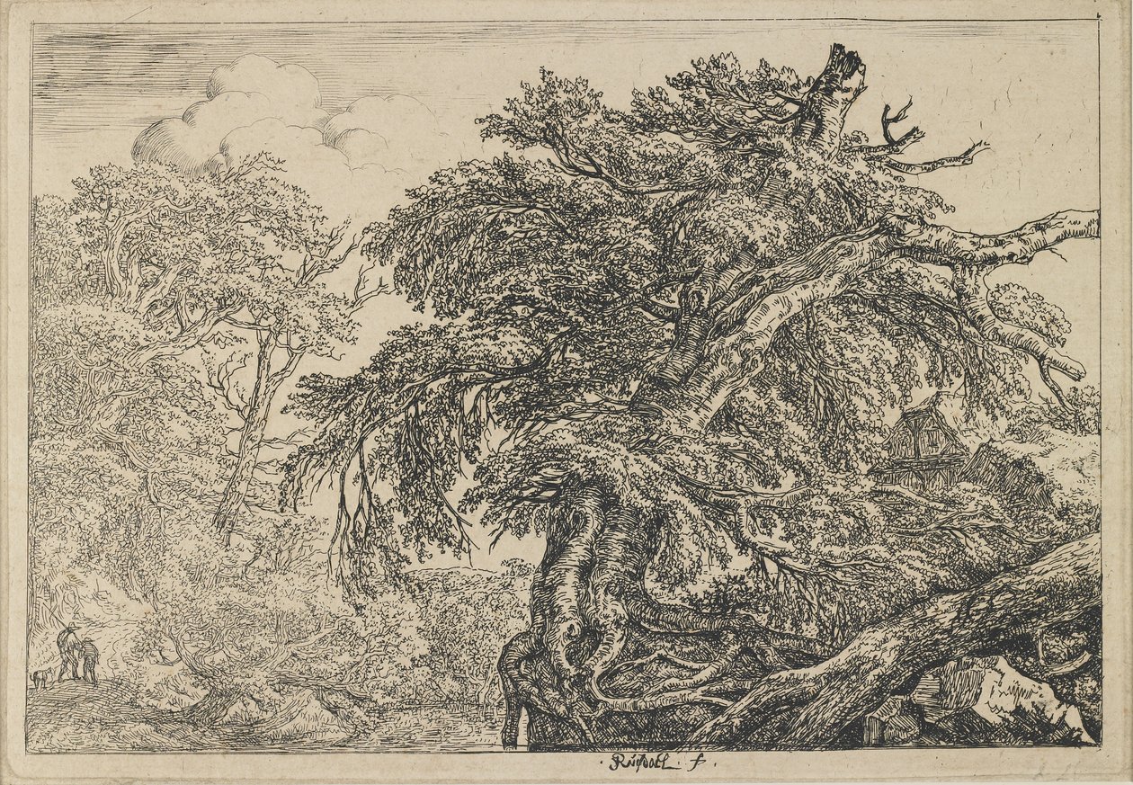 الزان العظيم مع رجلين وكلب ، ج. 1650-1655 بواسطة جاكوب فان روزديل