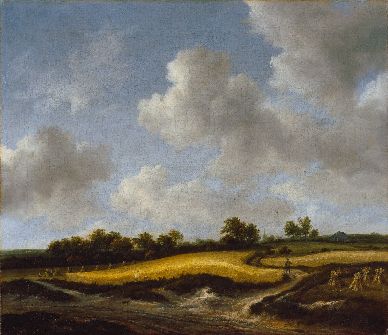 المناظر الطبيعية مع Wheatfield ، ج .1660 بواسطة جاكوب فان روزديل