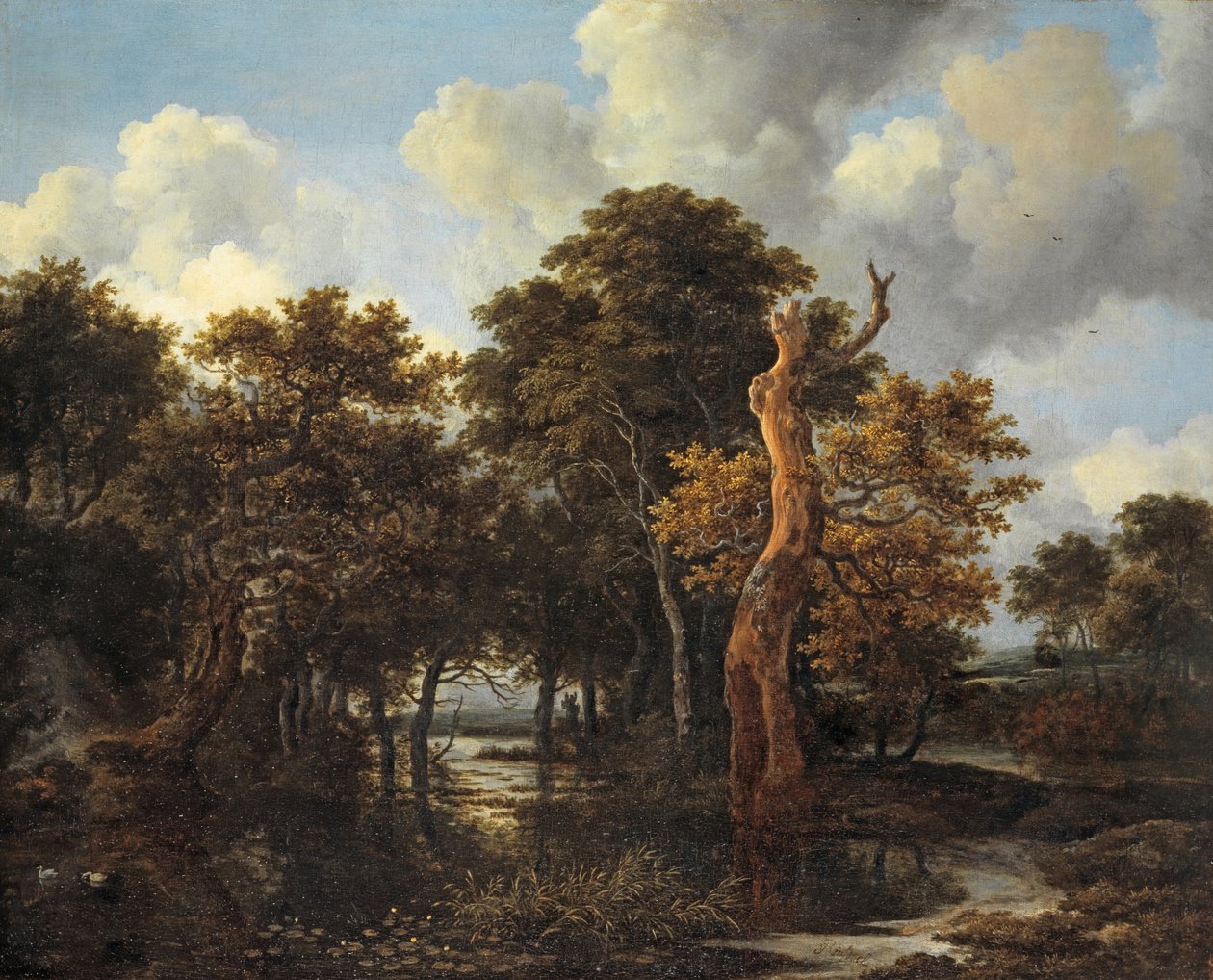 مناظر طبيعية من المستنقعات مع شجرة ميتة ، c.1665 بواسطة جاكوب فان روزديل