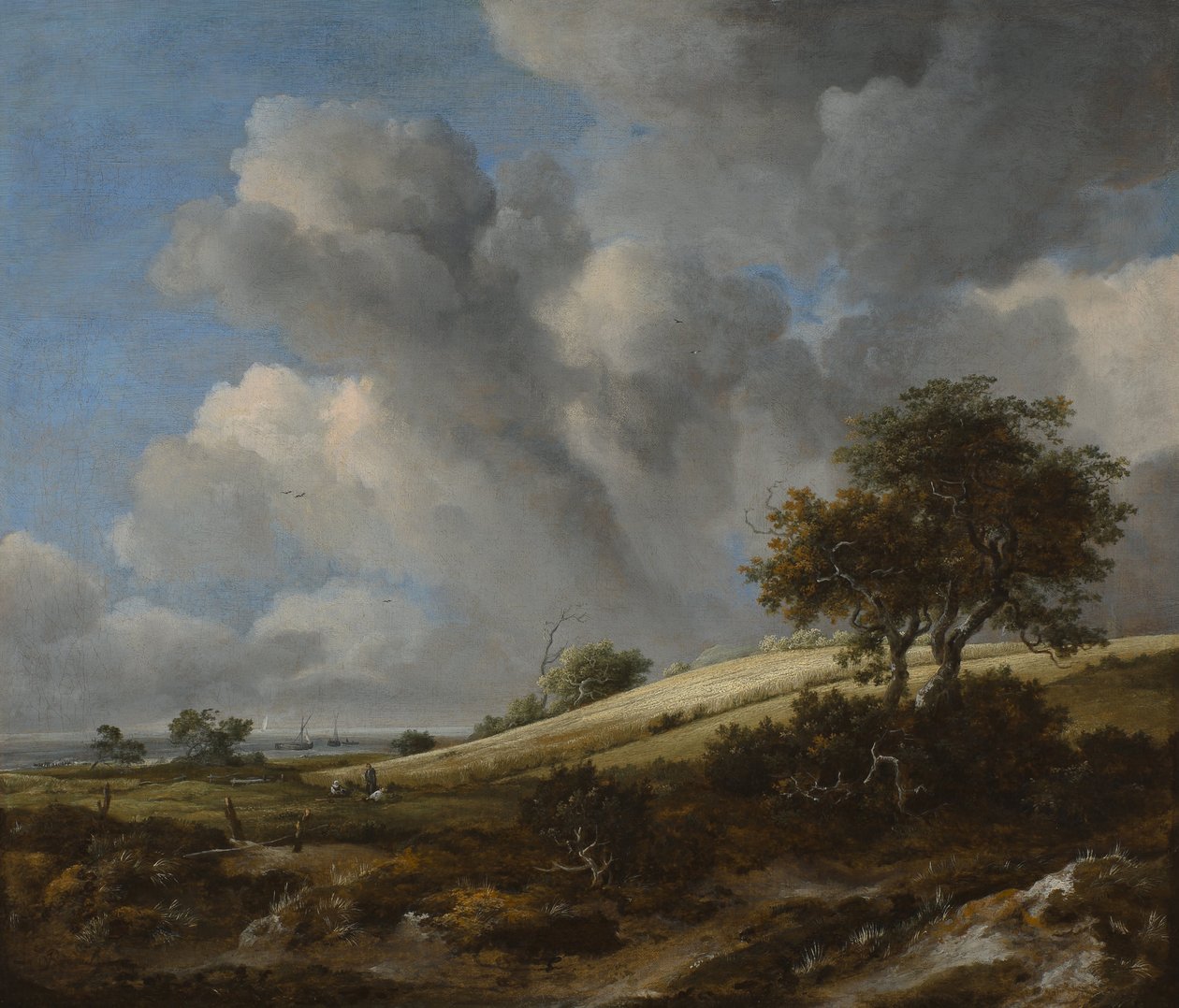 كورنفيلد مع Zuiderzee في الخلفية ، ج. 1660 بواسطة جاكوب فان روزديل