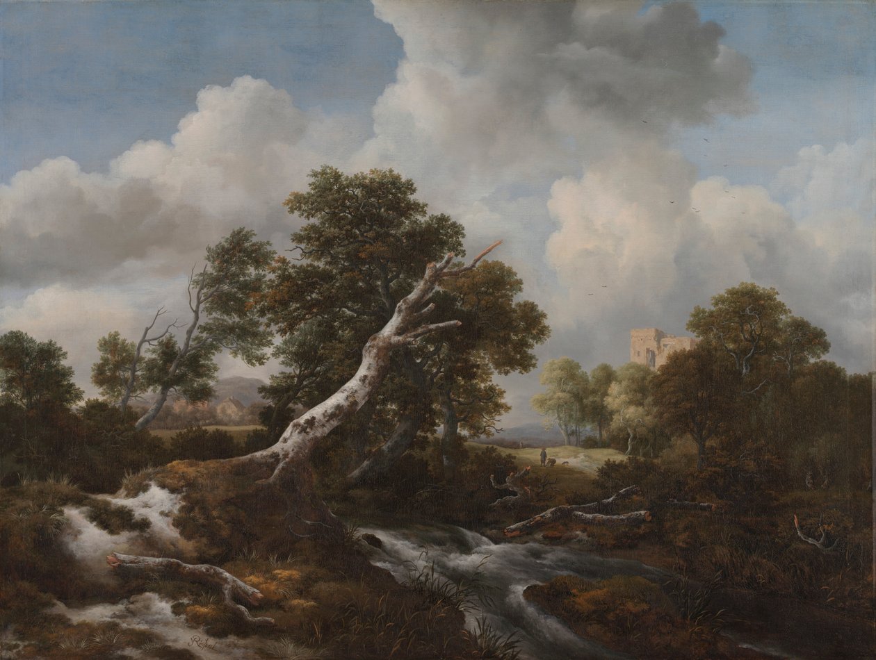 شلال منخفض في منظر طبيعي مشجر مع شجرة زان ميتة ، ج. 1660-1670. بواسطة جاكوب فان روزديل