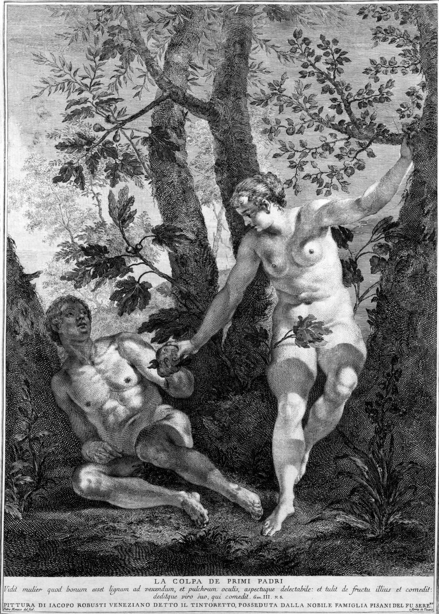 آدم وحواء ، نقشهما بيترو موناكو ، c.1741-52 بواسطة جاكوبو روبوستي تينتوريتو
