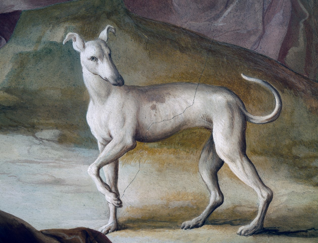 Dog, detail from fresco by Jacopo Guarana (1720-1808), central hall of Villa Contarini, Valnogaredo, Veneto, Italy بواسطة جاكوبو غوارانا