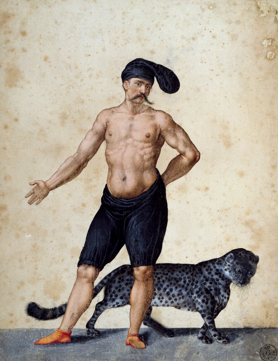 Young African man standing at front, half-dressed wearing long berretta (cap) on his head, with tiger behind him, drawing by Jacopo Ligozzi (1547-1627) بواسطة جاكوبو ليغوزي