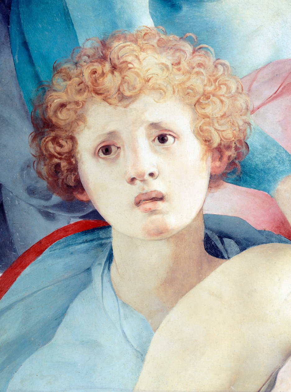 Face of young man, detail of The Deposition, by Jacopo da Pontormo (1494-1557) بواسطة جاكوبو بونتورمو