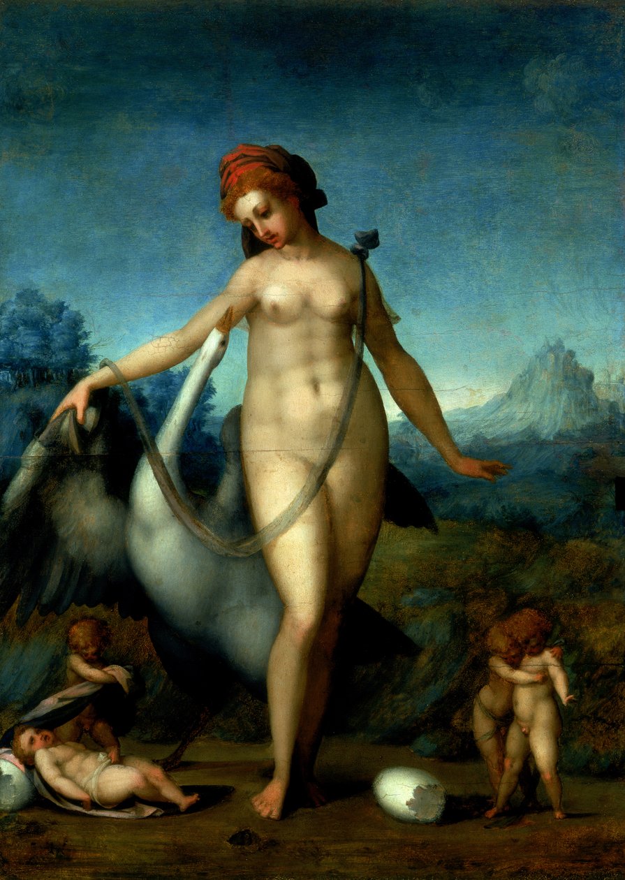 Leda and the Swan ، c.1512-13 (لوحة) بواسطة جاكوبو بونتورمو