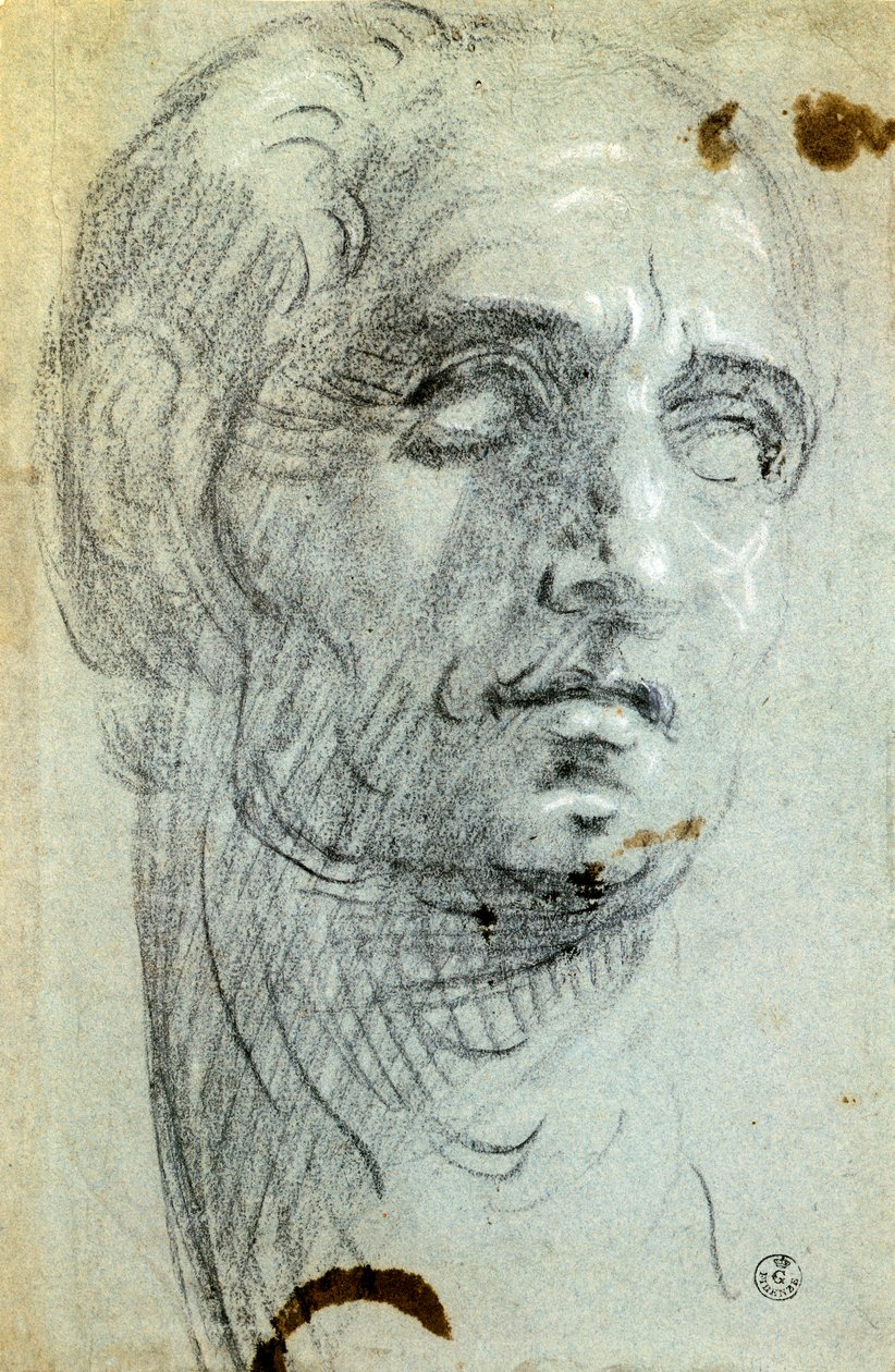 رأس ذكر لجاكوبو روبوستي المعروف باسم تينتوريتو (1518-1594) ، رسم بواسطة جاكوبو روبوستي تينتوريتو