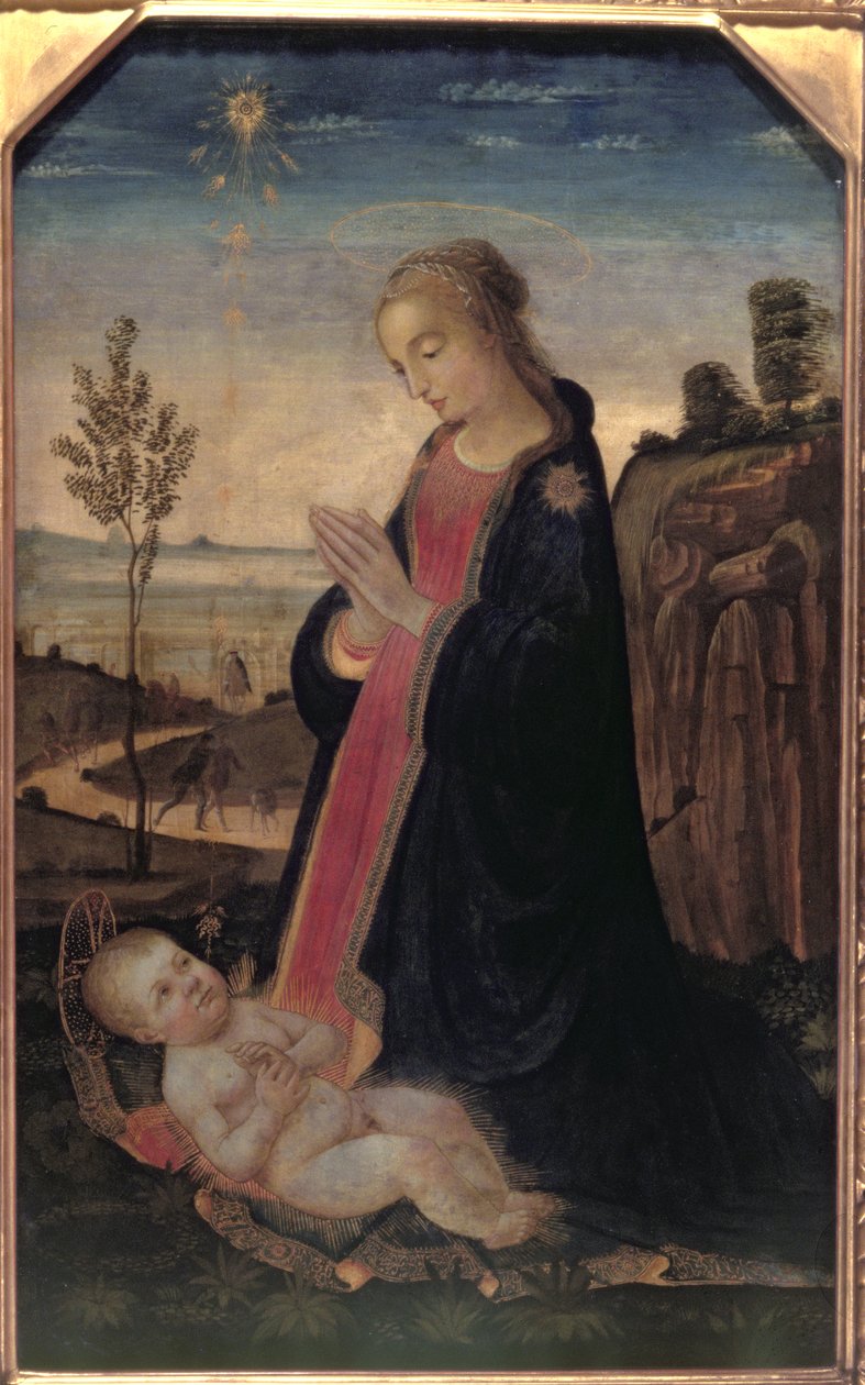 مادونا والطفل في المناظر الطبيعية بواسطة Jacopo del Sellaio