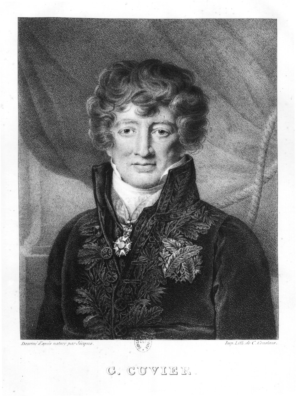 صورة جورج كوفير (1769-1832) بواسطة جاك