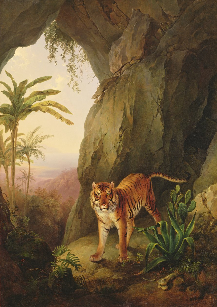 نمر في كهف ، c.1814 بواسطة جاك لوران اجاسي