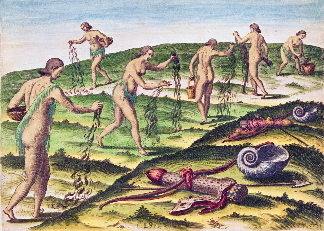كيف تندب النساء في مدافن الدفن ، من كتاب "Brevis Narratio .." ، الذي نقشه ثيودور دي بري (1528-1598) المنشور في فرانكفورت ، 1591 بواسطة جاك لو موين