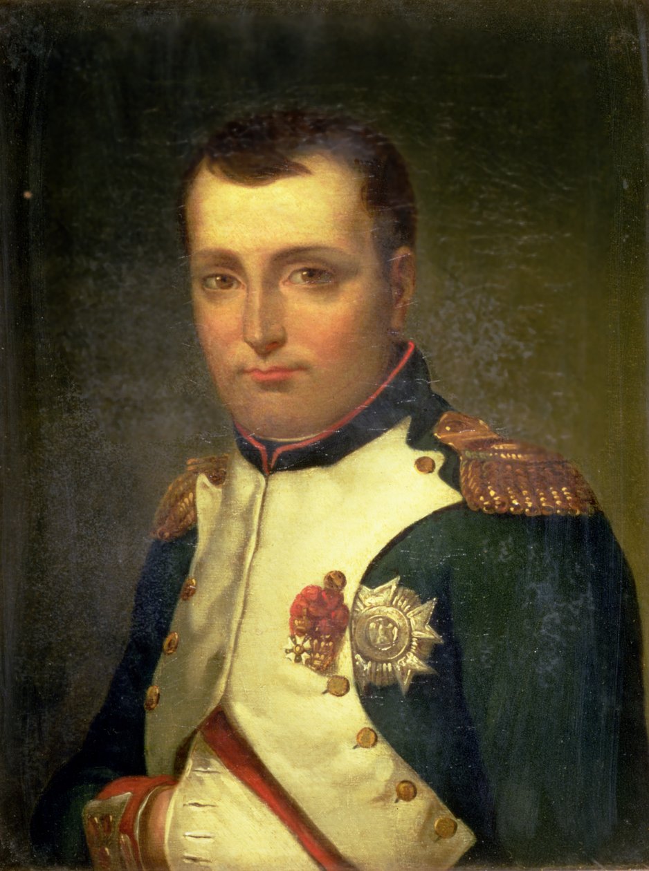 نابليون بونابرت (1769-1821) بواسطة جاك لويس ديفيد