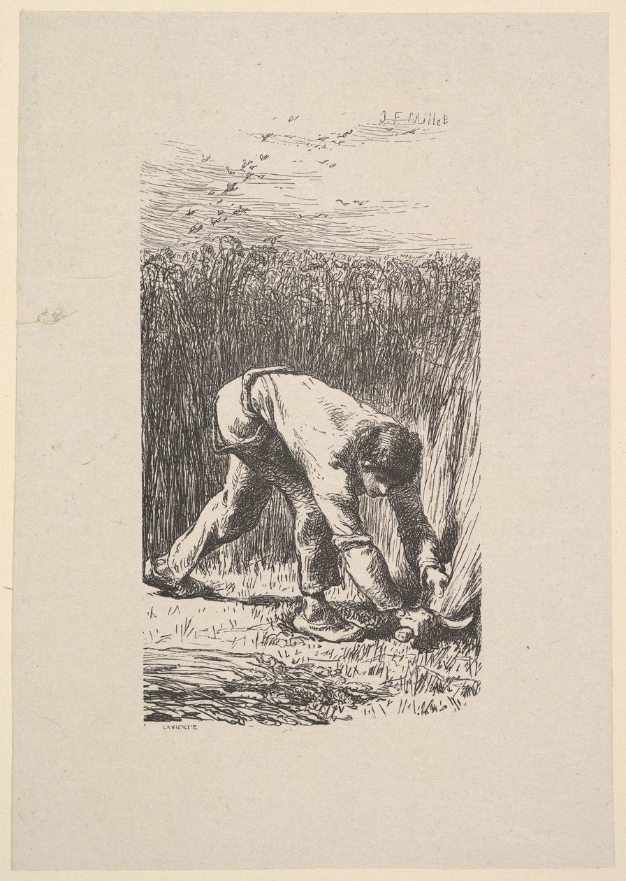 حصادة ، 1853. بواسطة جاك أدريان لافييل