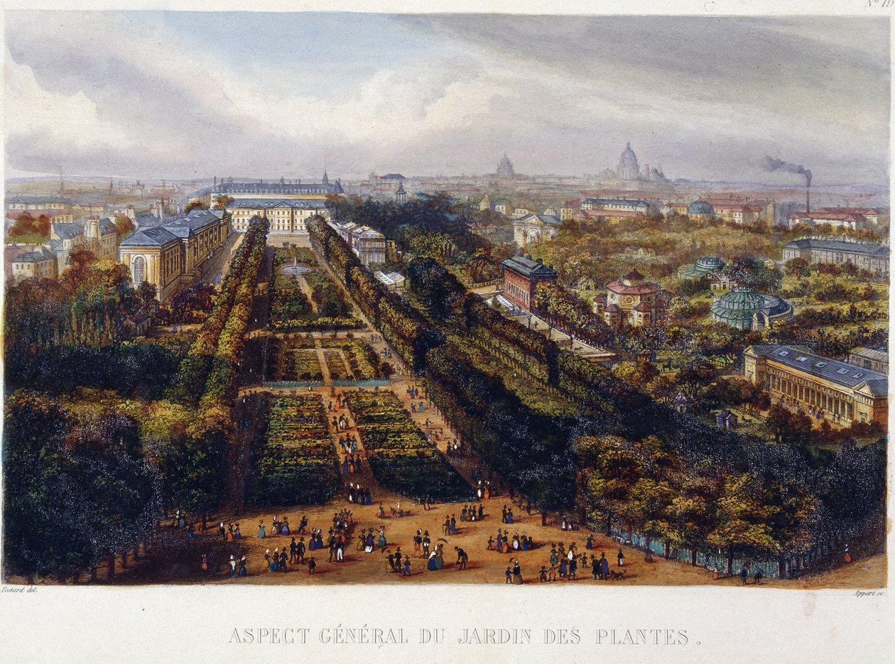 منظر ل Jardin des Plantes - الطباعة الحجرية بواسطة Testard بواسطة جاك ألفونس (بعد) تيستارد